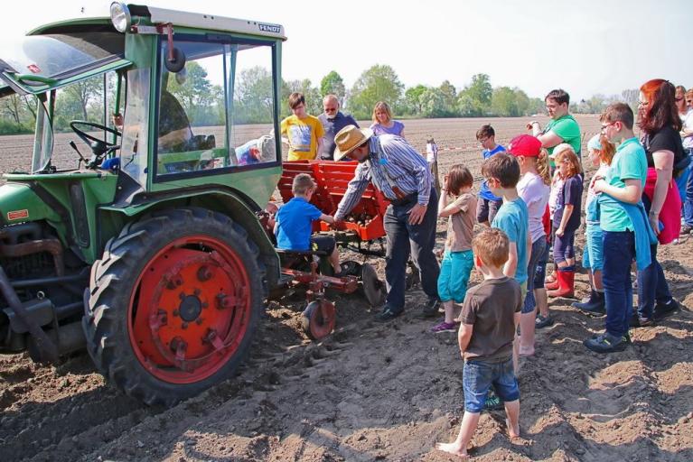 Kartoffeln pflanzen im Landtechnik-Museum Gut Steinhof